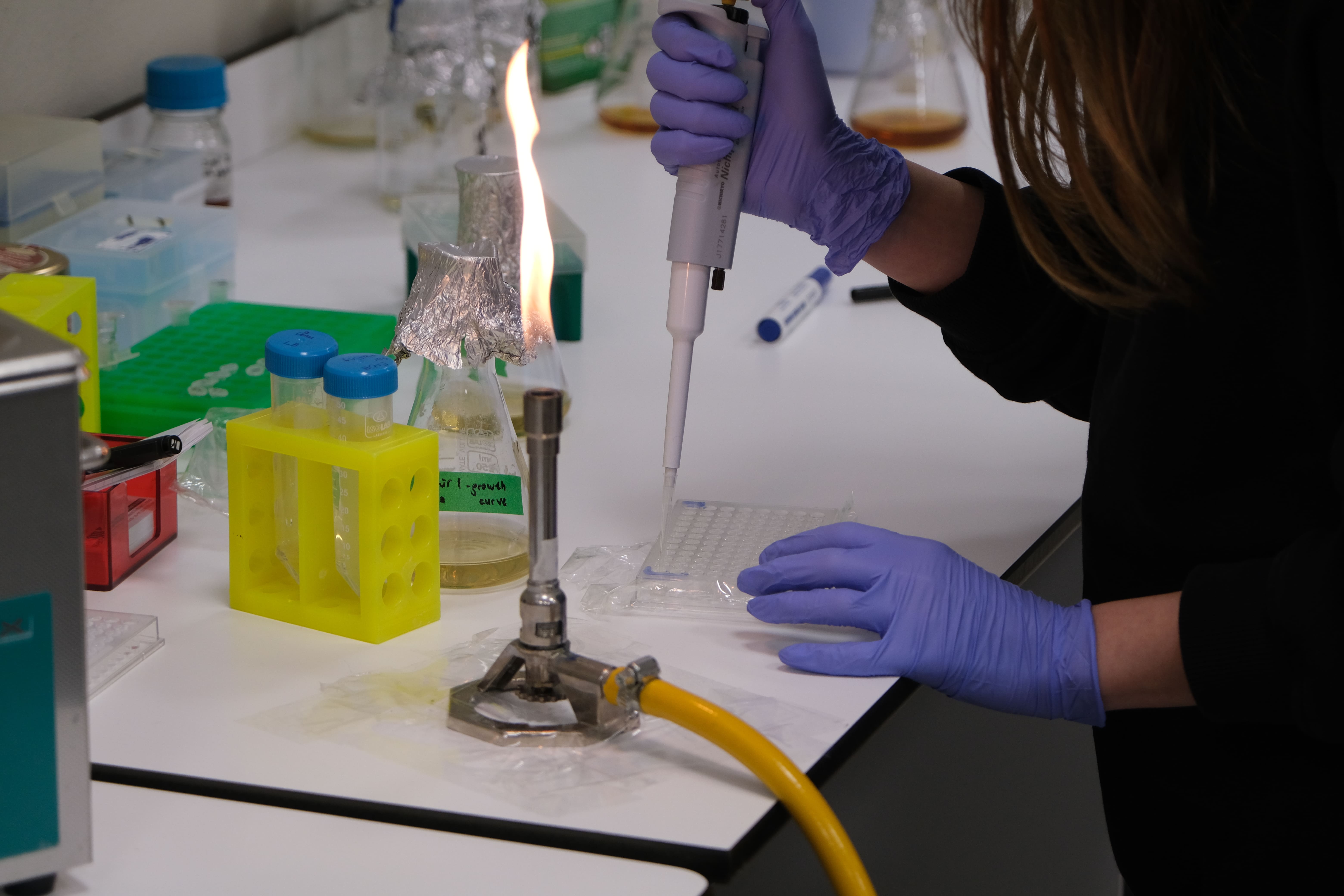 Lab work